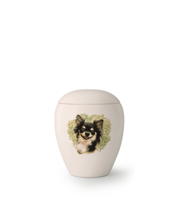 Tierurne - Keramik Hund "Chihuahua" 500ml