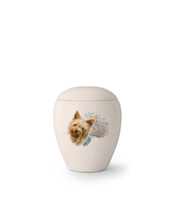 Tierurne - Keramik Hund "Yorkshire" 500ml